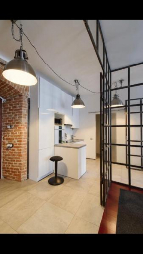 Apartment on the Rynok Square